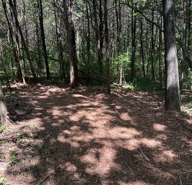 compact excavator supporting trail & access clearing